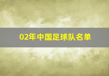 02年中国足球队名单