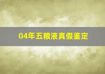 04年五粮液真假鉴定