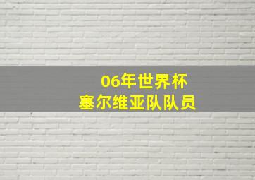 06年世界杯塞尔维亚队队员