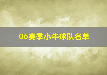 06赛季小牛球队名单