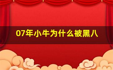 07年小牛为什么被黑八