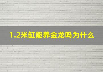 1.2米缸能养金龙吗为什么