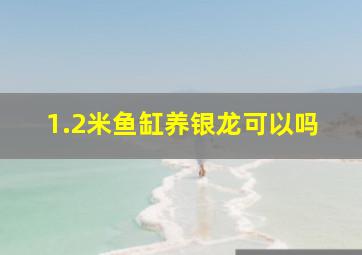 1.2米鱼缸养银龙可以吗