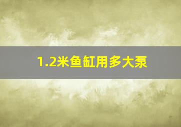 1.2米鱼缸用多大泵