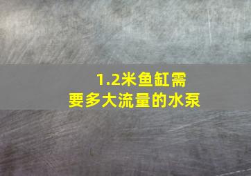 1.2米鱼缸需要多大流量的水泵