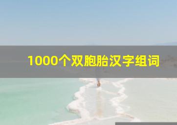 1000个双胞胎汉字组词