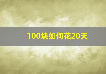 100块如何花20天