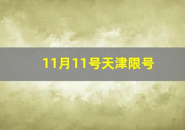 11月11号天津限号