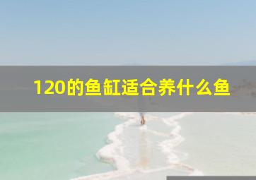 120的鱼缸适合养什么鱼