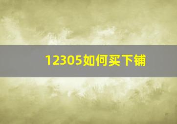 12305如何买下铺