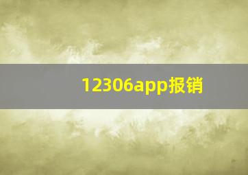 12306app报销