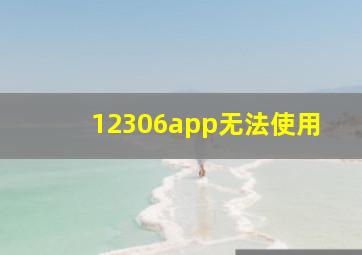 12306app无法使用