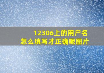 12306上的用户名怎么填写才正确呢图片