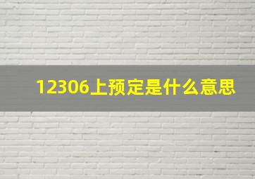 12306上预定是什么意思