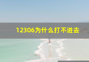 12306为什么打不进去