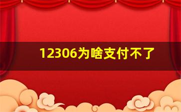 12306为啥支付不了