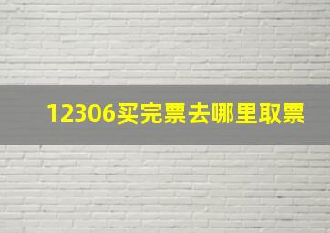 12306买完票去哪里取票