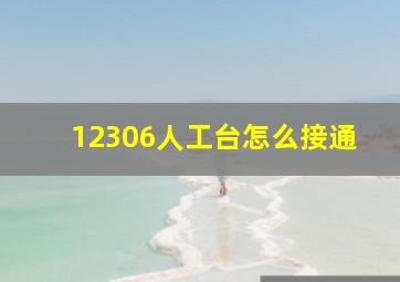 12306人工台怎么接通