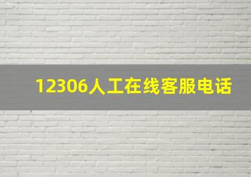 12306人工在线客服电话