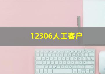 12306人工客户