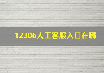 12306人工客服入口在哪