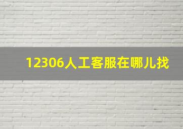 12306人工客服在哪儿找