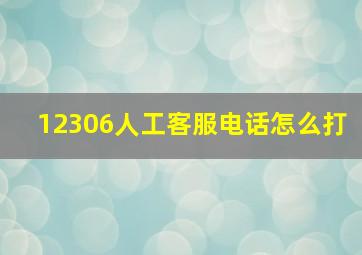 12306人工客服电话怎么打