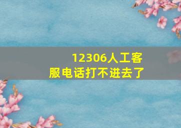 12306人工客服电话打不进去了