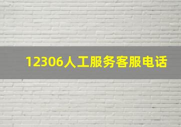 12306人工服务客服电话