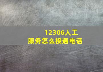 12306人工服务怎么接通电话