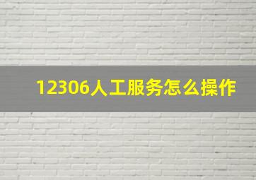 12306人工服务怎么操作