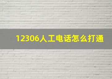 12306人工电话怎么打通