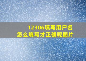 12306填写用户名怎么填写才正确呢图片