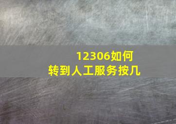 12306如何转到人工服务按几