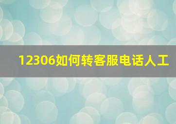 12306如何转客服电话人工