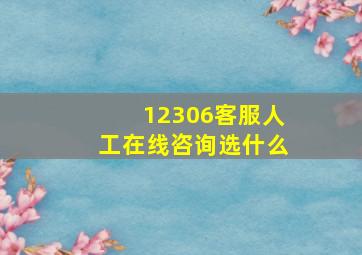 12306客服人工在线咨询选什么