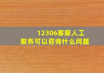 12306客服人工服务可以咨询什么问题