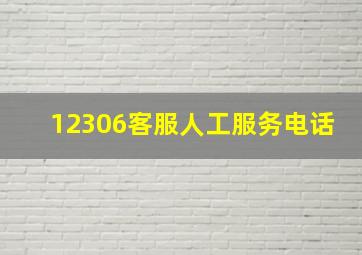 12306客服人工服务电话