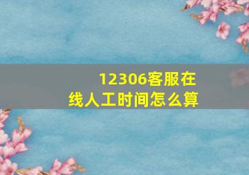 12306客服在线人工时间怎么算