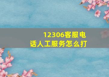 12306客服电话人工服务怎么打