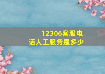 12306客服电话人工服务是多少