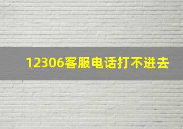 12306客服电话打不进去