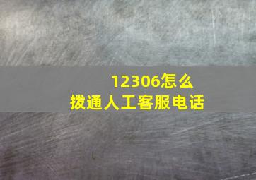 12306怎么拨通人工客服电话