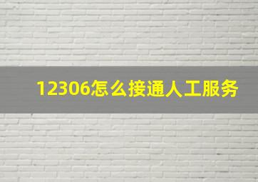 12306怎么接通人工服务