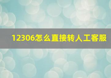 12306怎么直接转人工客服