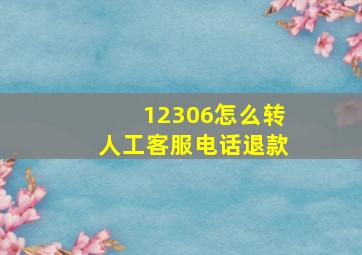 12306怎么转人工客服电话退款