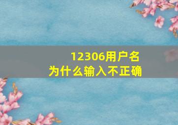 12306用户名为什么输入不正确