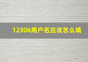 12306用户名应该怎么填