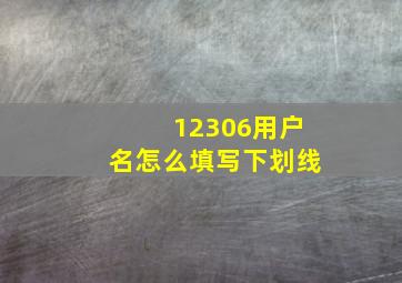 12306用户名怎么填写下划线