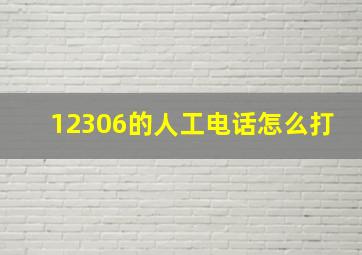 12306的人工电话怎么打